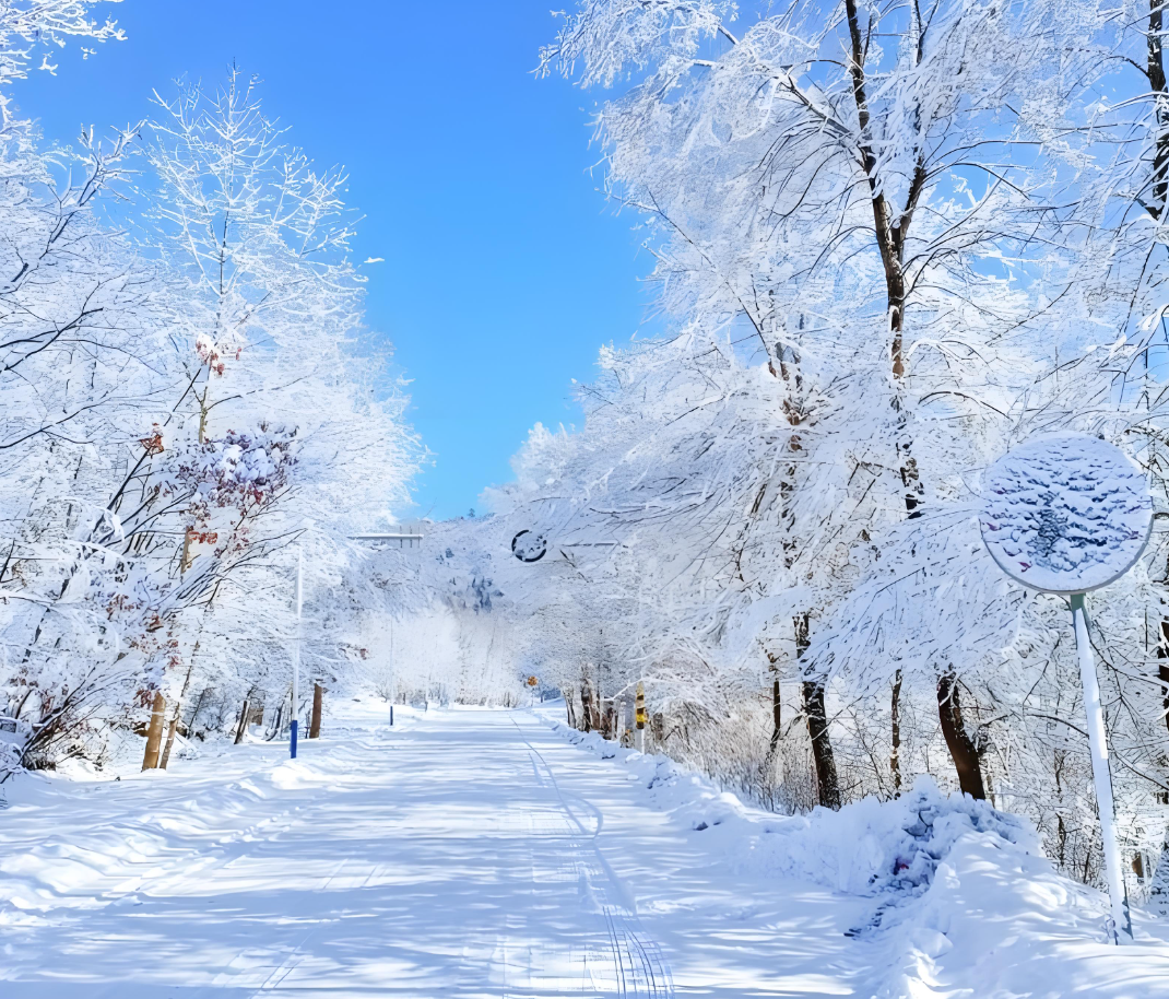 温馨！零下37度，胡明轩冰天雪地中，给球迷签名